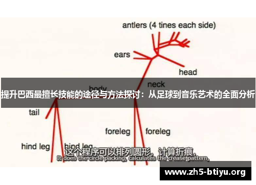 提升巴西最擅长技能的途径与方法探讨:从足球到音乐艺术的全面分析 提升巴西最擅长技能的途径与方法探讨:从足球到音乐艺术的全面分析