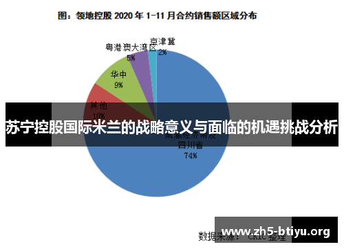 苏宁控股国际米兰的战略意义与面临的机遇挑战分析 苏宁控股国际米兰的战略意义与面临的机遇挑战分析