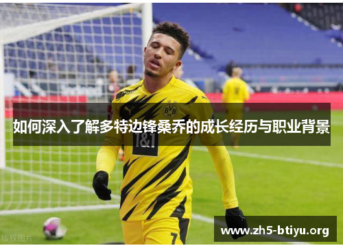 如何深入了解多特边锋桑乔的成长经历与职业背景 如何深入了解多特边锋桑乔的成长经历与职业背景